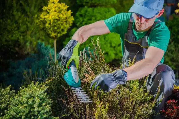landscaping services Monfort Heights